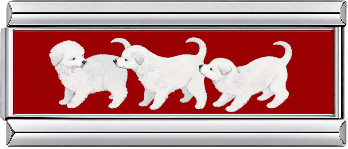 Three White Puppies Double Charm
