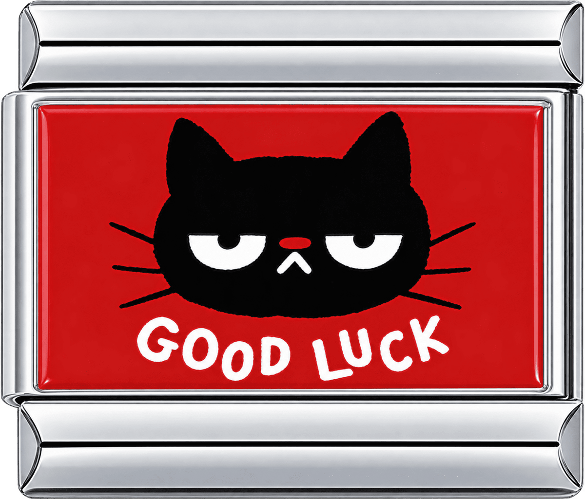 Good Luck Black Cat Single Charm