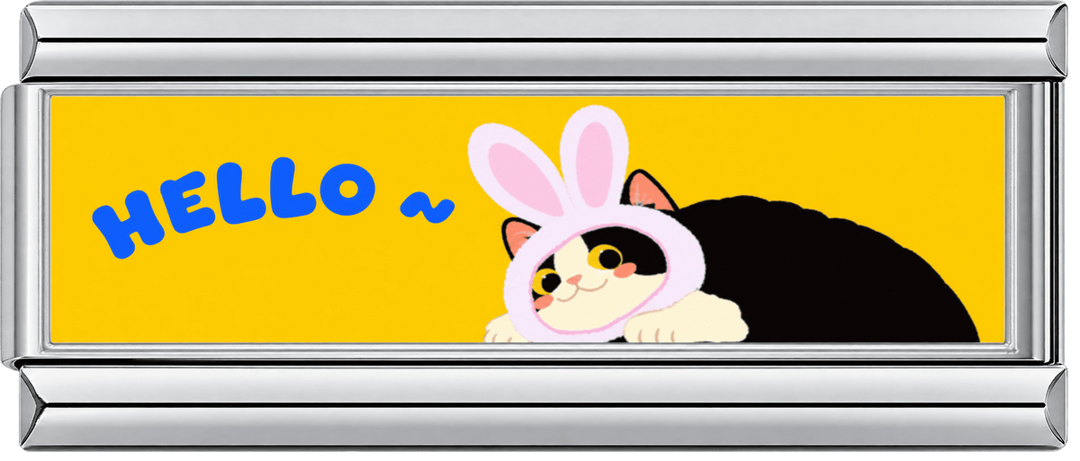 Hello Bunny Cat Double Charm