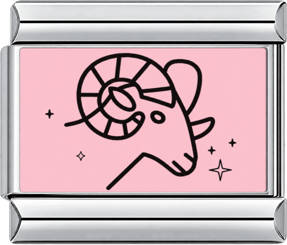 Pink Aries Single Charm
