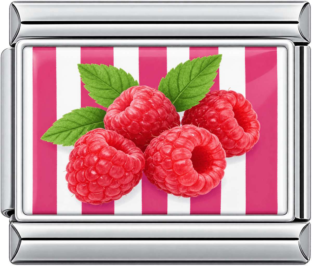 Striped Raspberry Single Charm