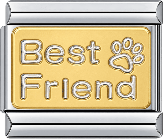 Best Friend Paw Print Single Charm