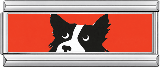 Husky Portrait Double Charm