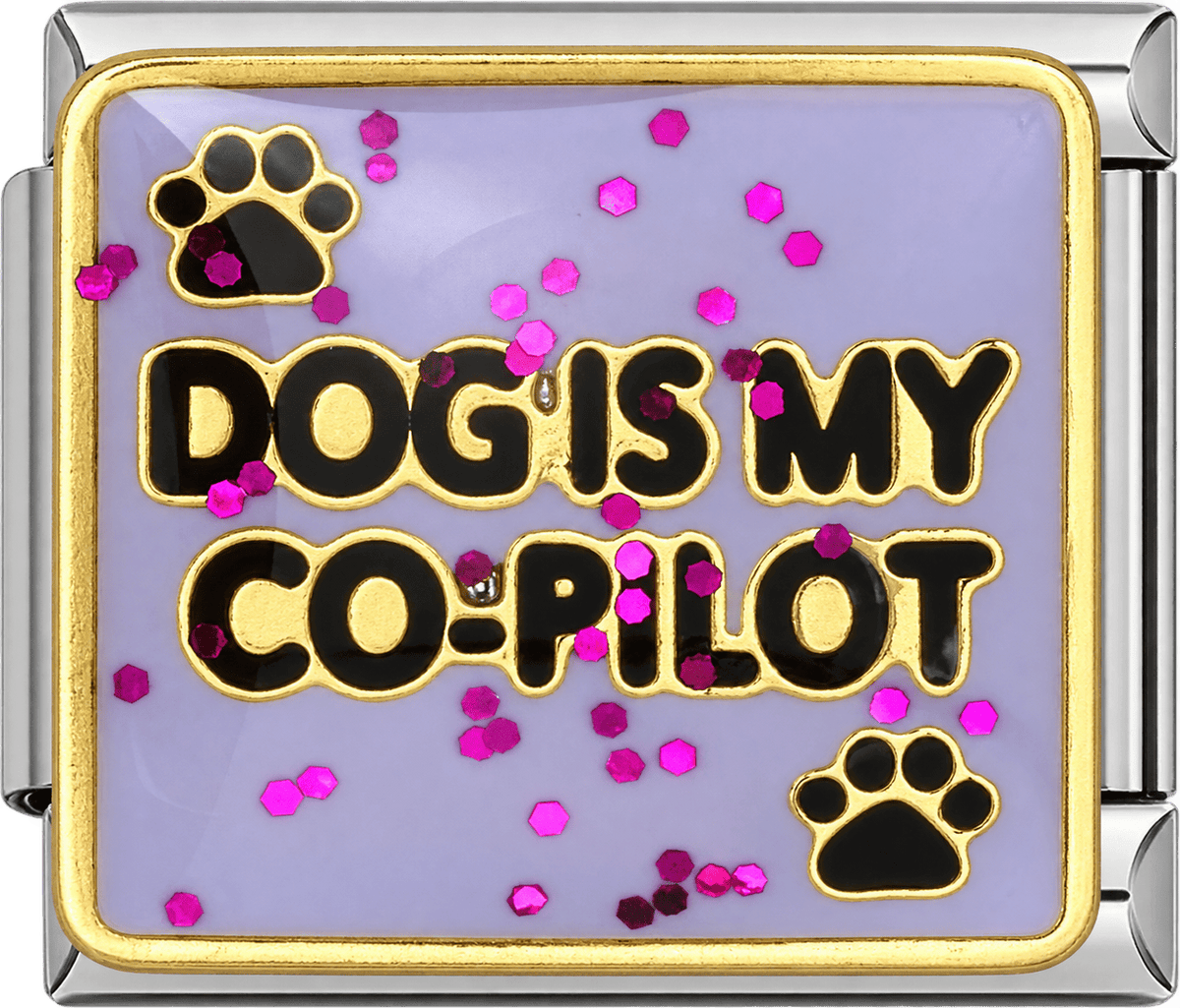 Dog Is My Co-Pilot Single Charm