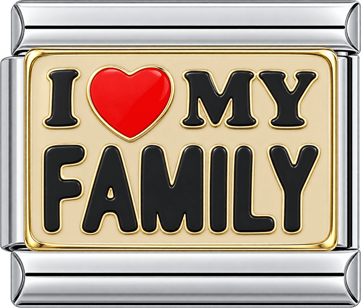 I Love My Family Single Charm