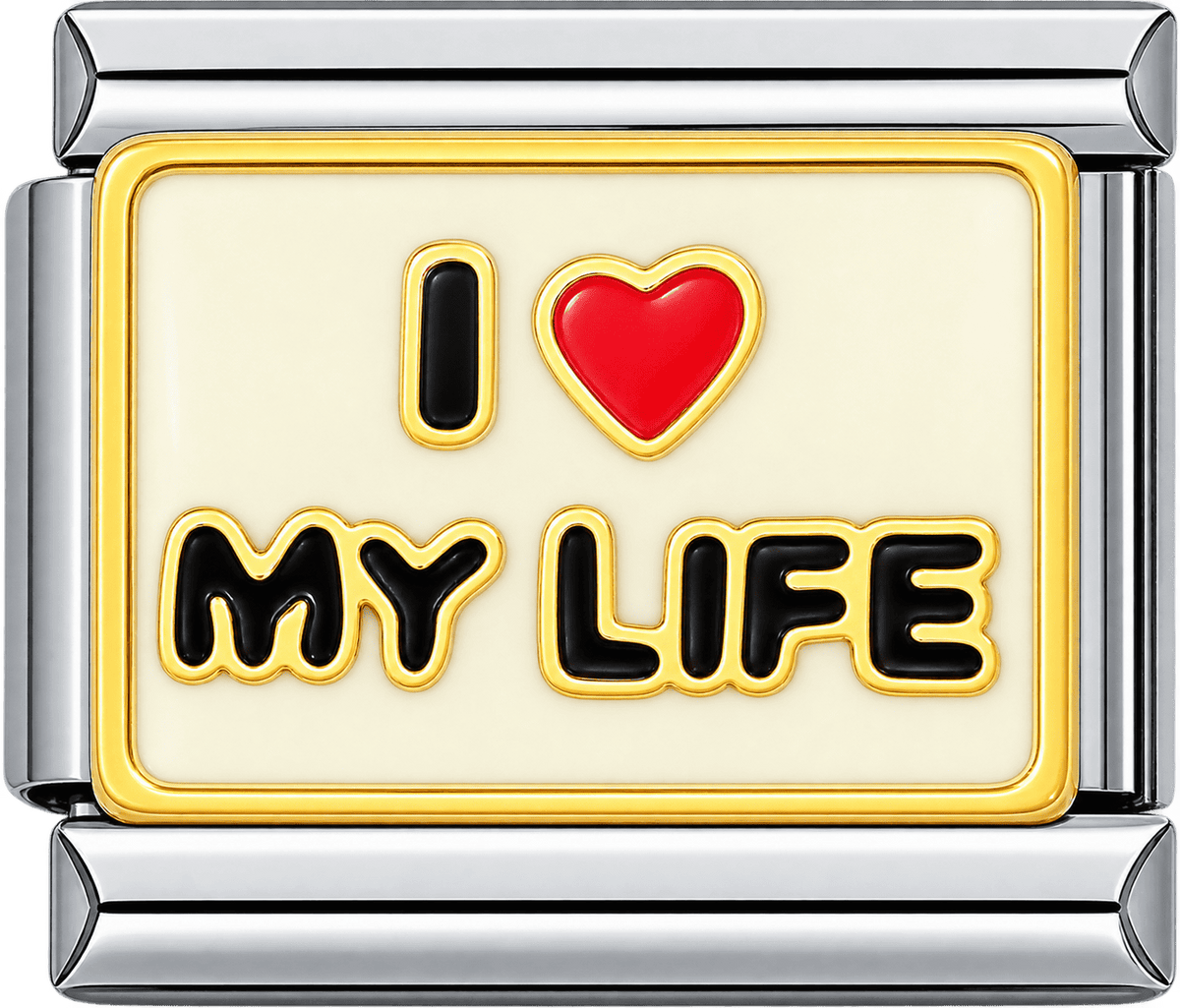 I Love My Life Single Charm