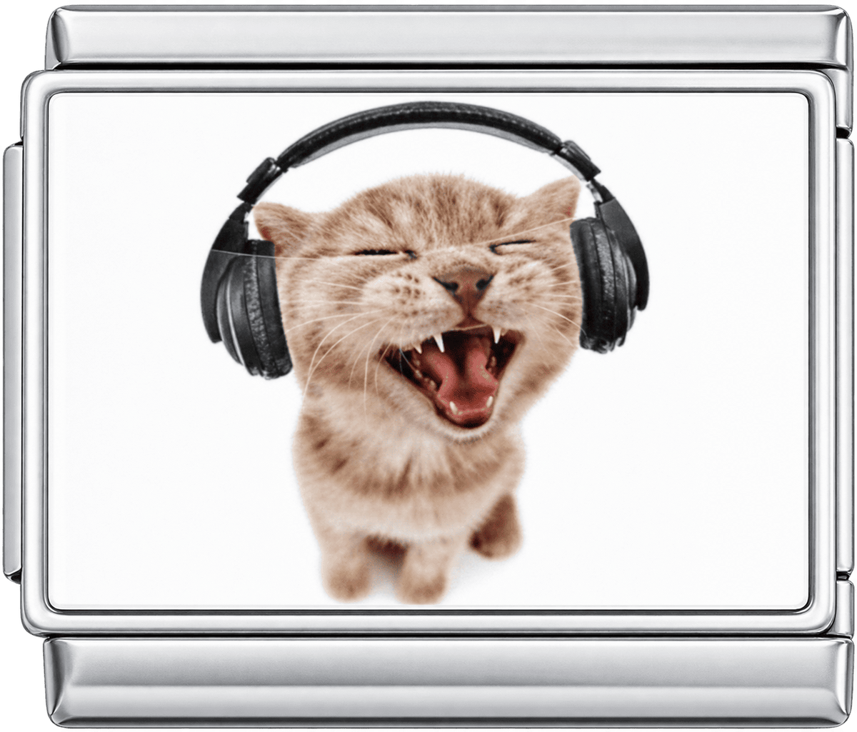 Headphones Singing Cat Single Charm