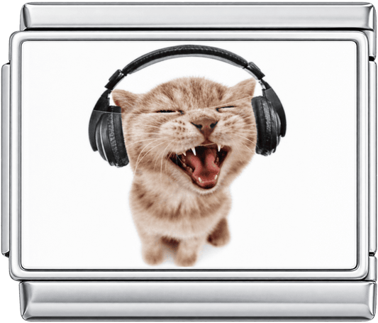 Headphones Singing Cat Single Charm
