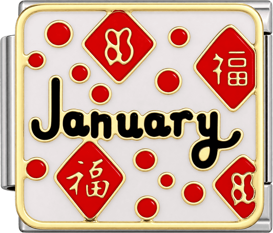January Single Charm