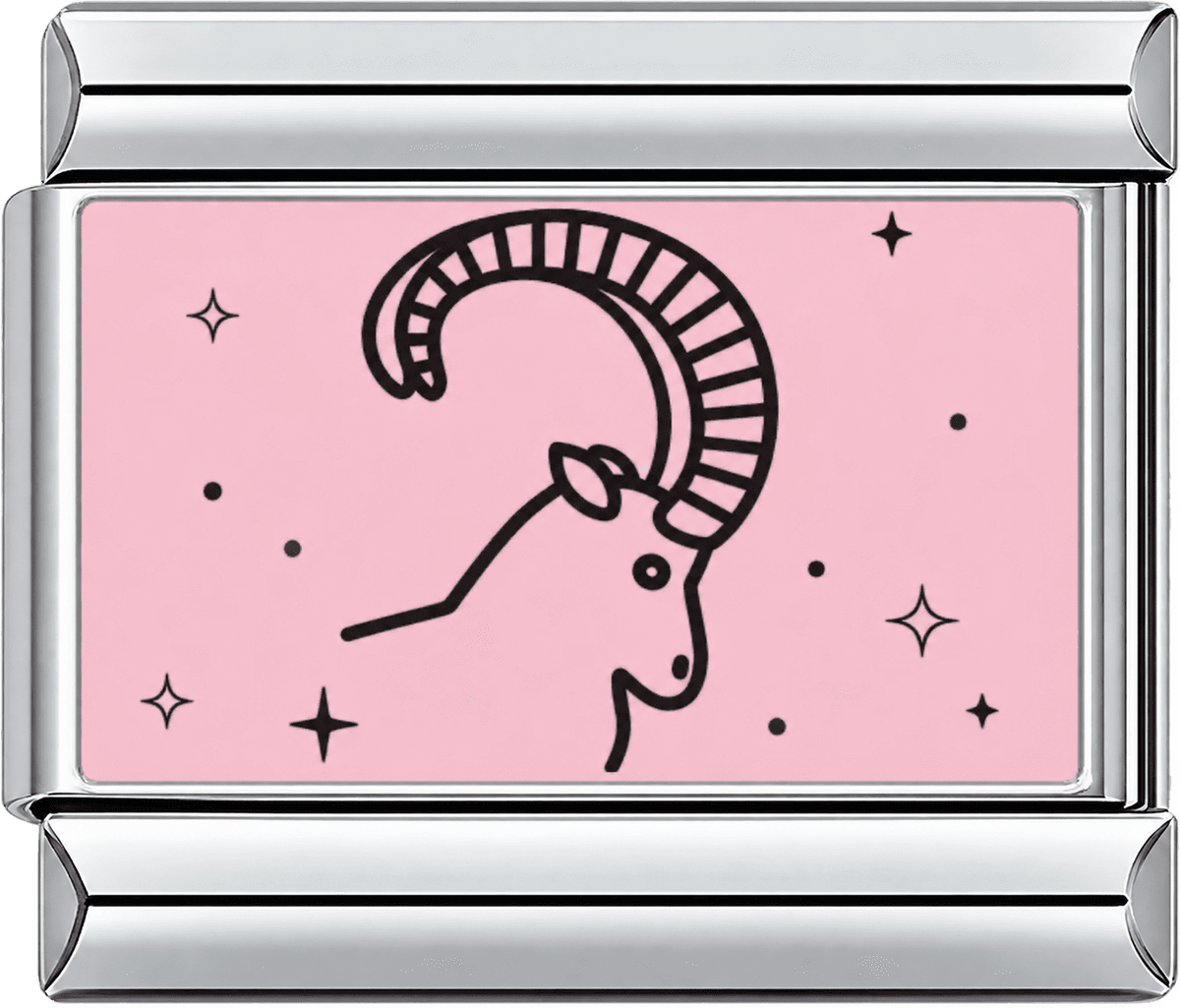 Pink Capricon Single Charm