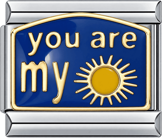 You Are My Sunshine Single Charm